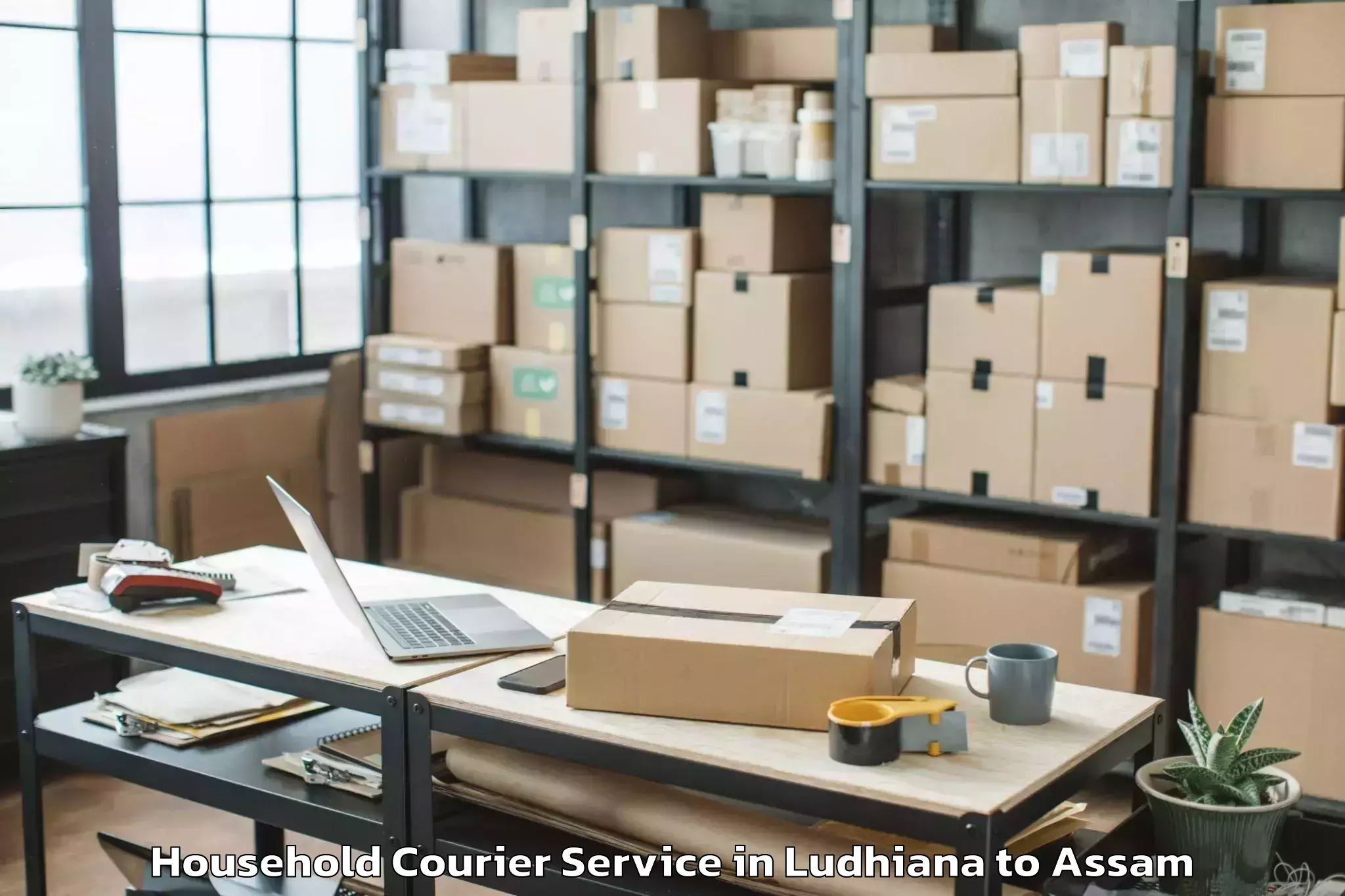 Book Ludhiana to Boitamari Household Courier